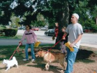 Animals